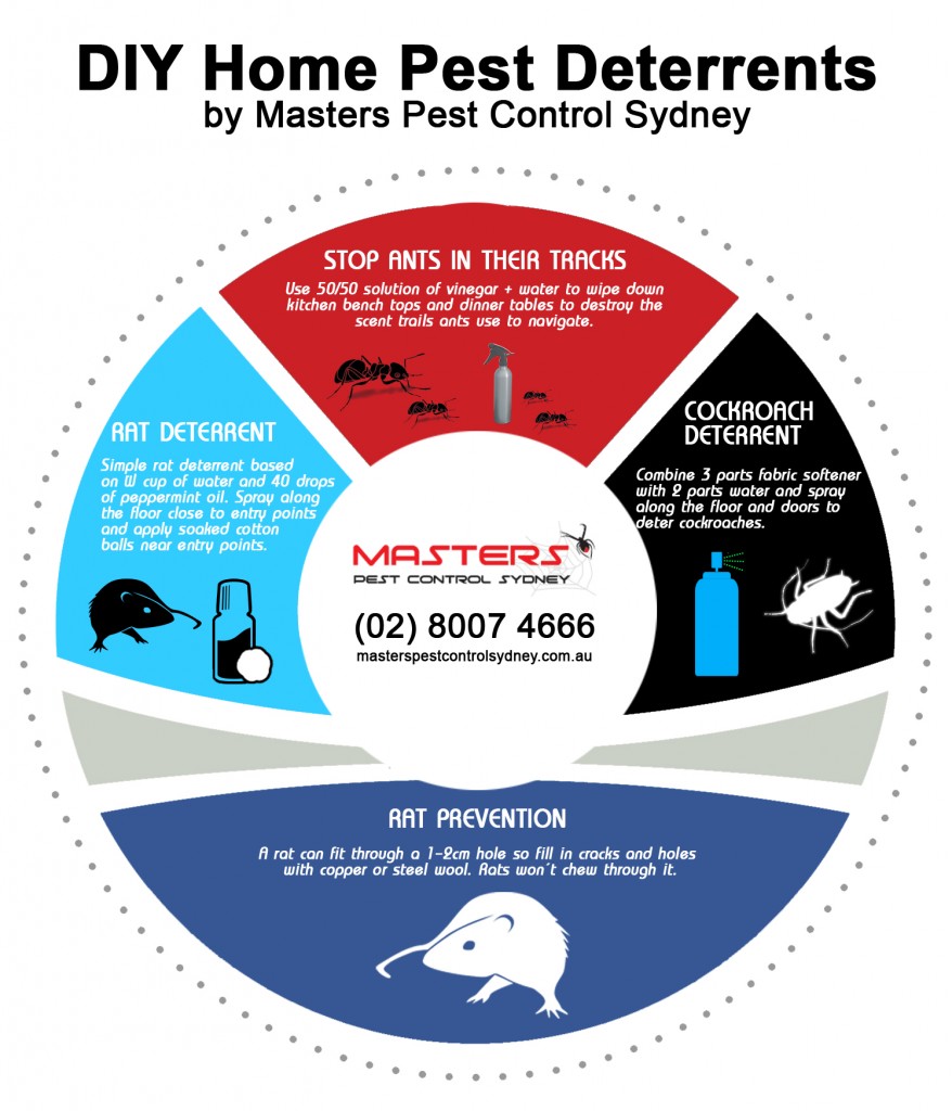 Pest Control North Shore DIY Australia