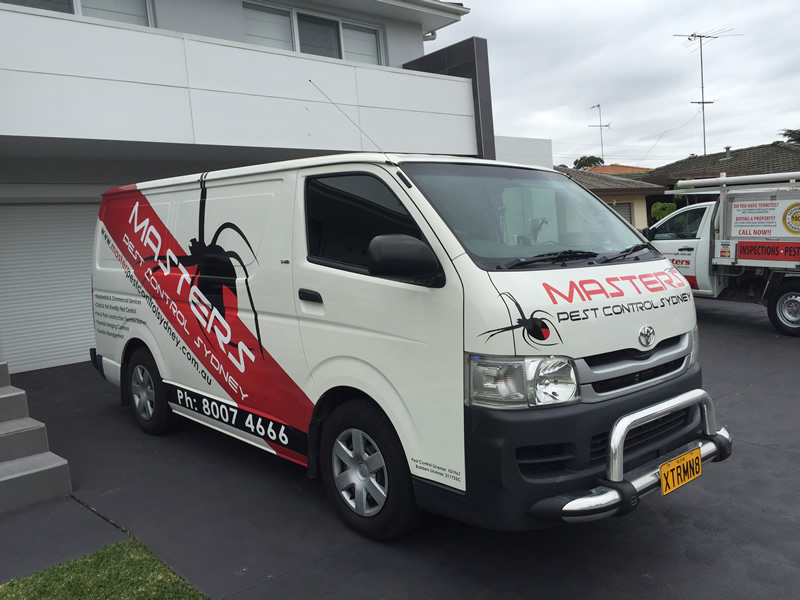 Reasonably Priced Pest Control in Pennant Hills