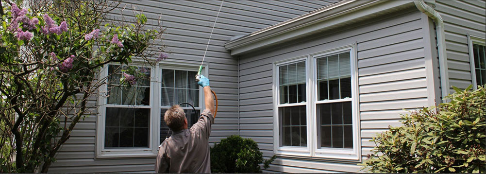 Strata Pest Control Services in Sydney Area