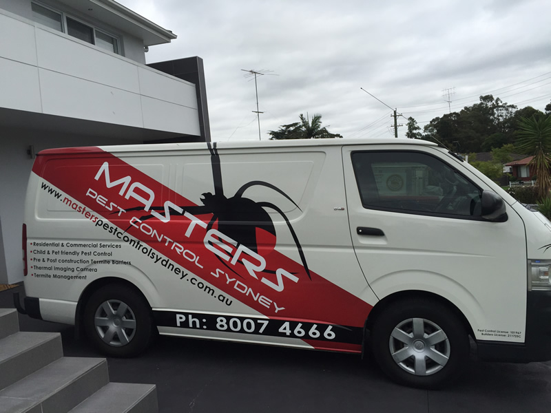 masters pest control sydney mobile service