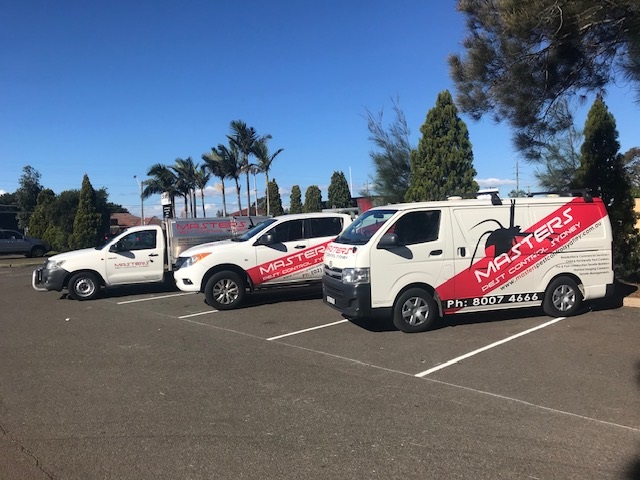 Pest control company in Sydney