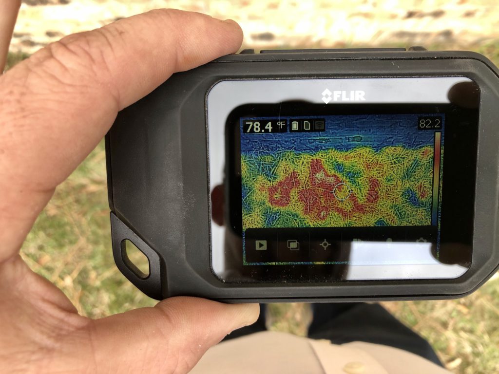 termite thermal imaging to detect termite infestations during a termite inspection of a property